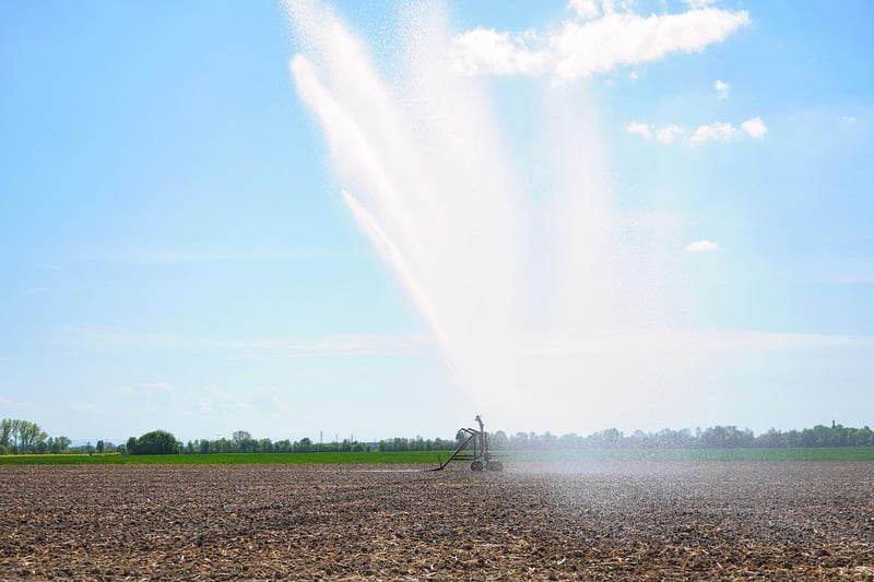 Irrigation System Setup