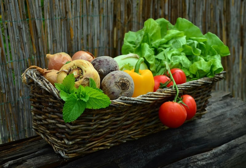 Vertical Vegetable Garden